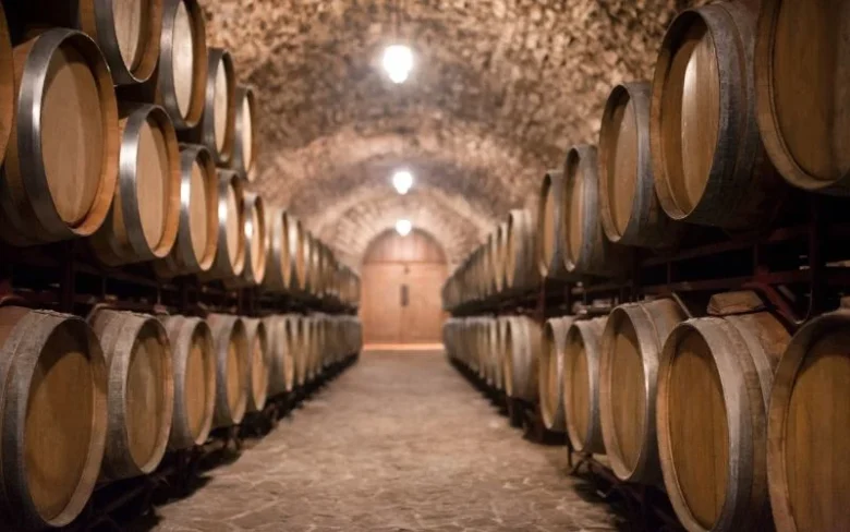 Traditional French wine cellar with oak barrels, showcasing the ageing process behind expert French wine pairing.